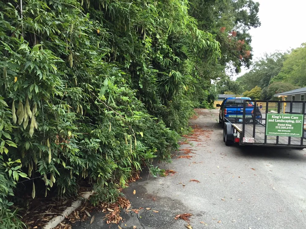 Professional yard cleanup service for residential properties across Stantonsburg, NC - King's Lawn Care and Landscaping