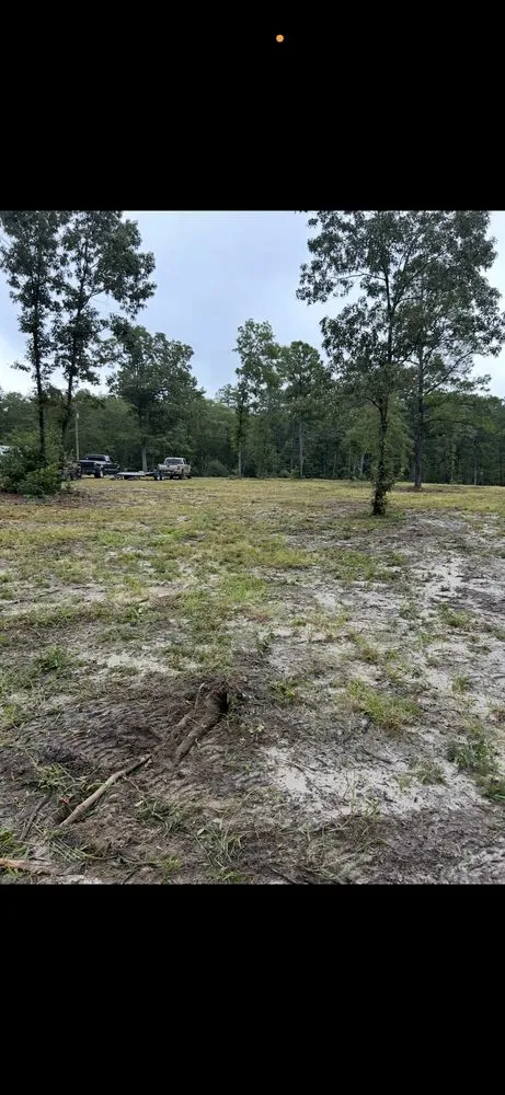 Affordable landscaping services for outdoor upgrades in Bennettsville, SC by Kings Lawn Care