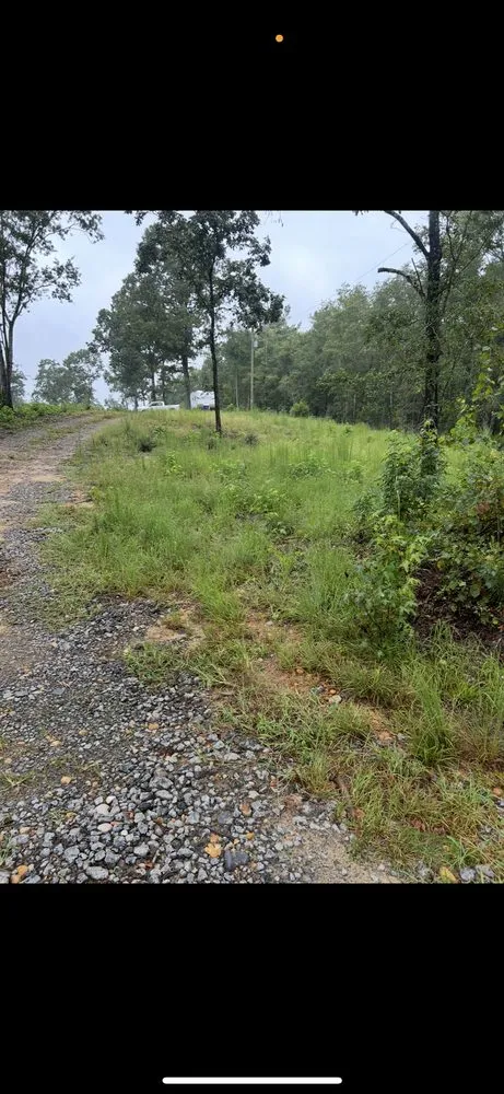 Expert outdoor landscaping for year-round maintenance in Bennettsville, SC by Kings Lawn Care