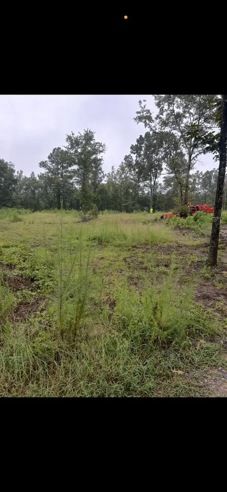 Affordable landscape design with custom design in Bennettsville, SC by Kings Lawn Care