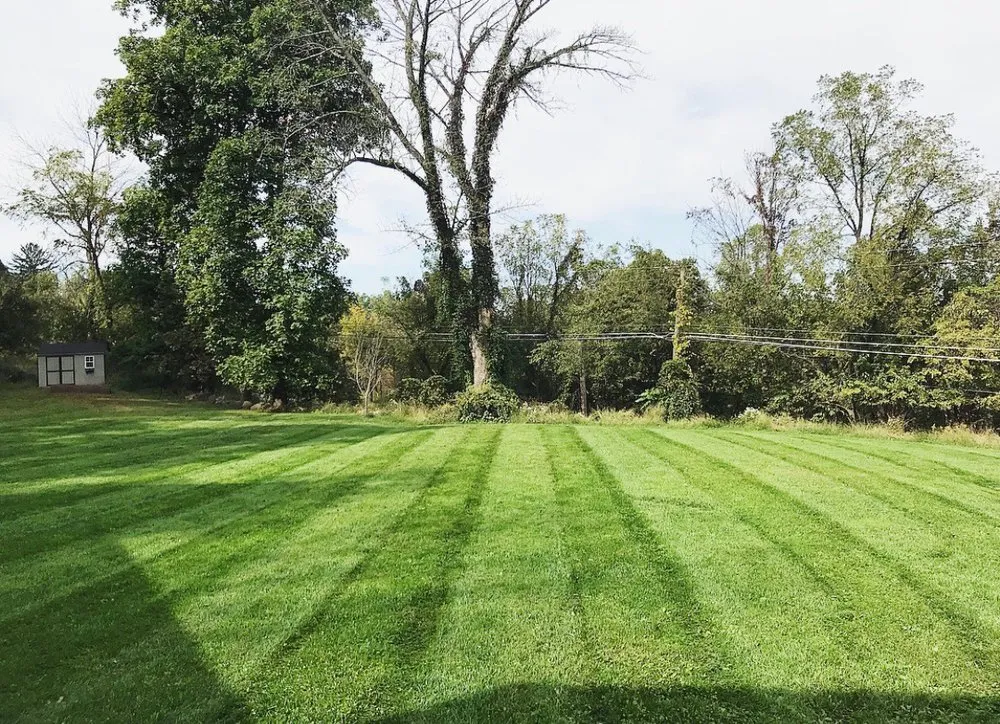 Top-rated yard cleanup service experts serving Easton, PA - Kings Lawn Care