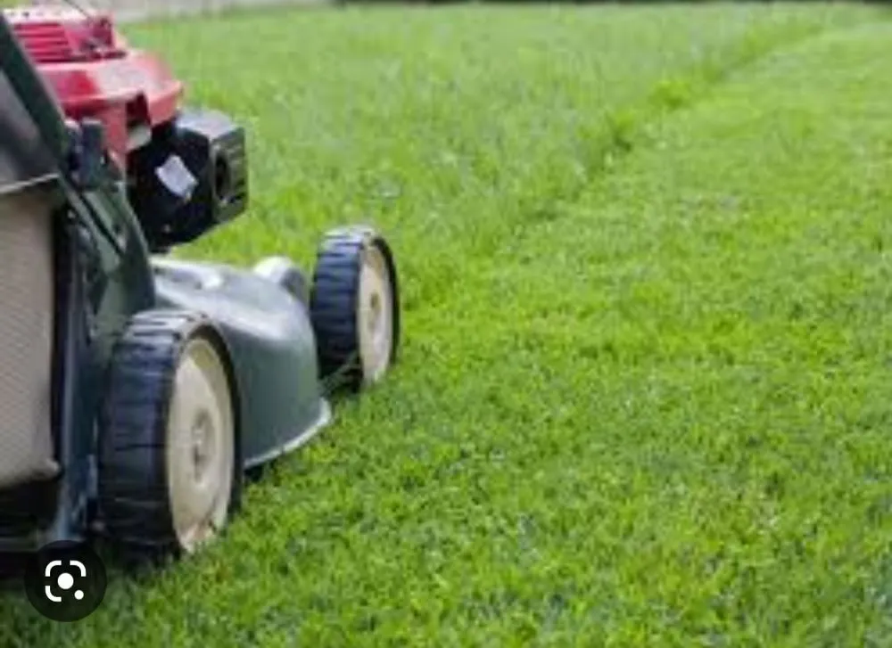 Trusted residential landscaping for residential properties across Fort Pierce, FL - King's Lawn Care