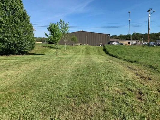 Kings Lawn Care Logo