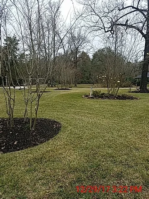 Local yard maintenance in Rogers, AR by King's Lawn Care