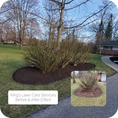 Kings lawn care services Logo