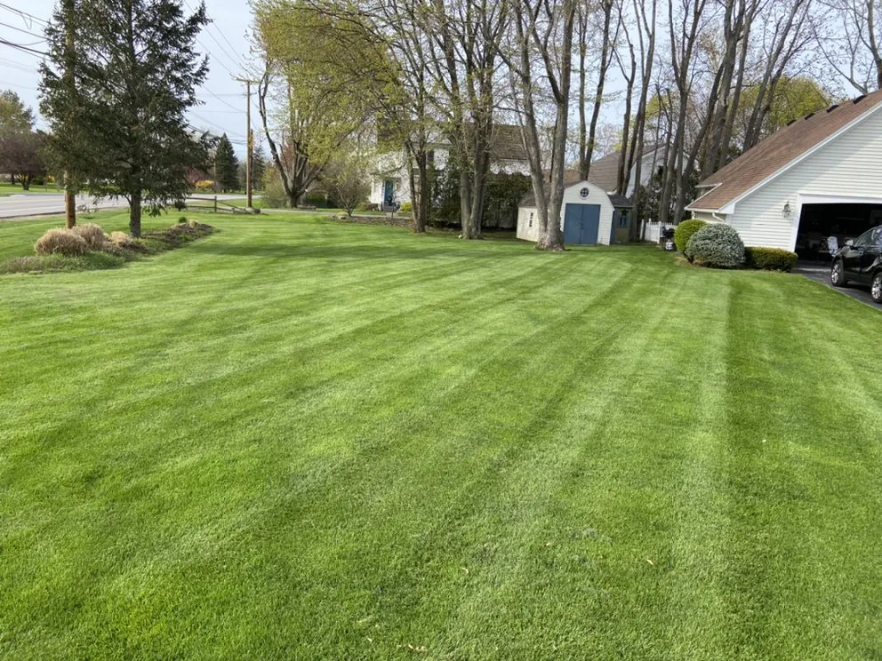 Expert garden landscaping for homes across Webster, NY - Kings Lawn Maintenance