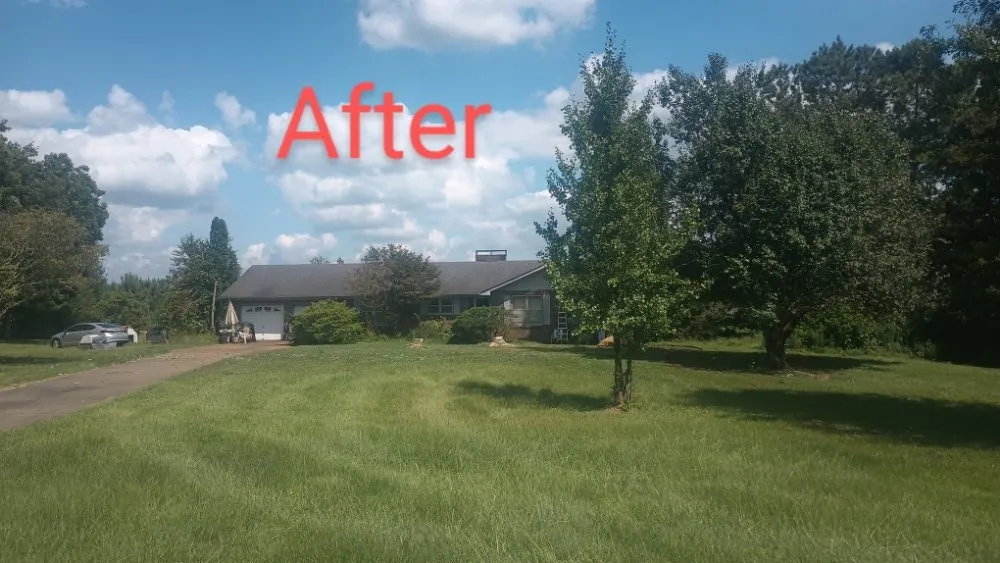 Top-rated landscaping services experts serving Attalla, AL - Kings lawn service and pressure washing