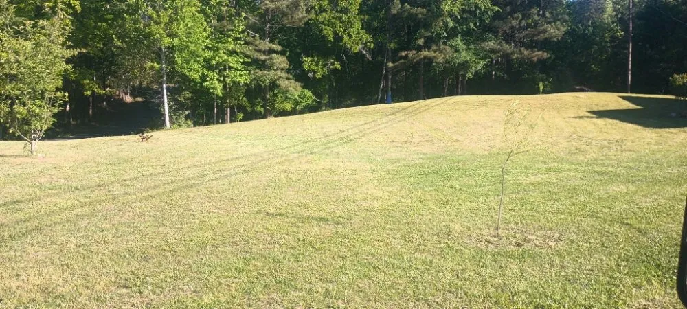 Professional landscaping services in Attalla, AL - Kings lawn service and pressure washing