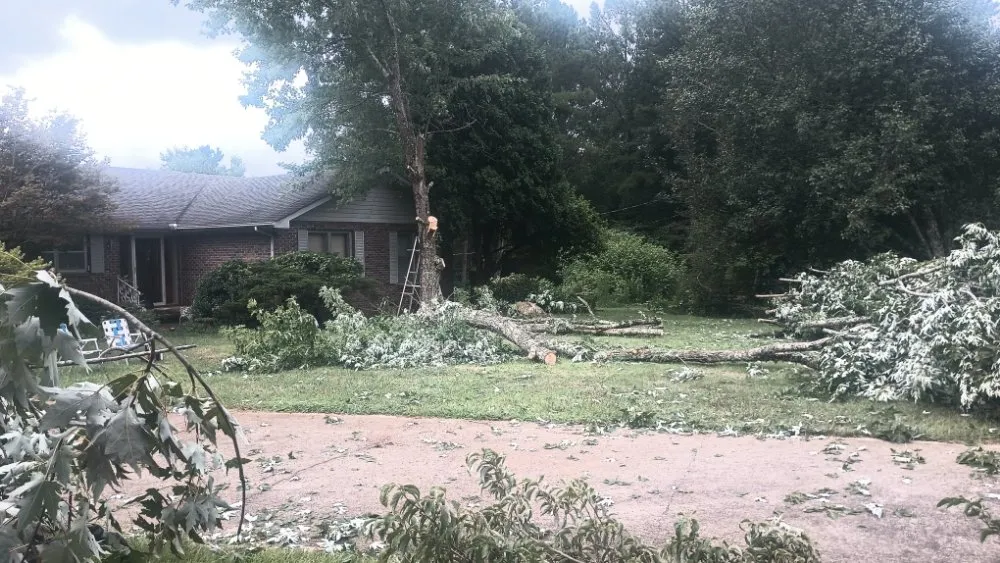 Local lawn care service for year-round maintenance across Attalla, AL - Kings lawn service and pressure washing