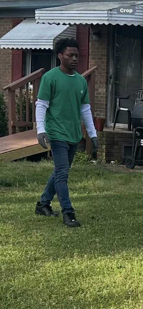 Local residential landscaping experts serving Farmville, NC - Kings Lawn Services