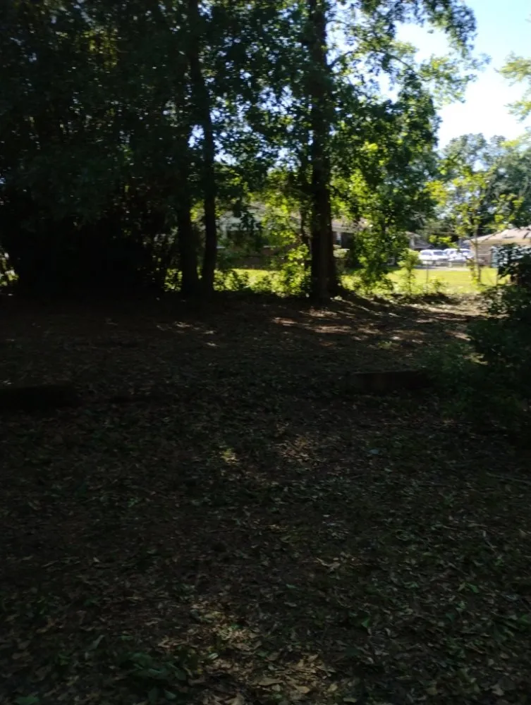 Top-rated lawn care service in Eight Mile, AL by Kings Lawn Svr