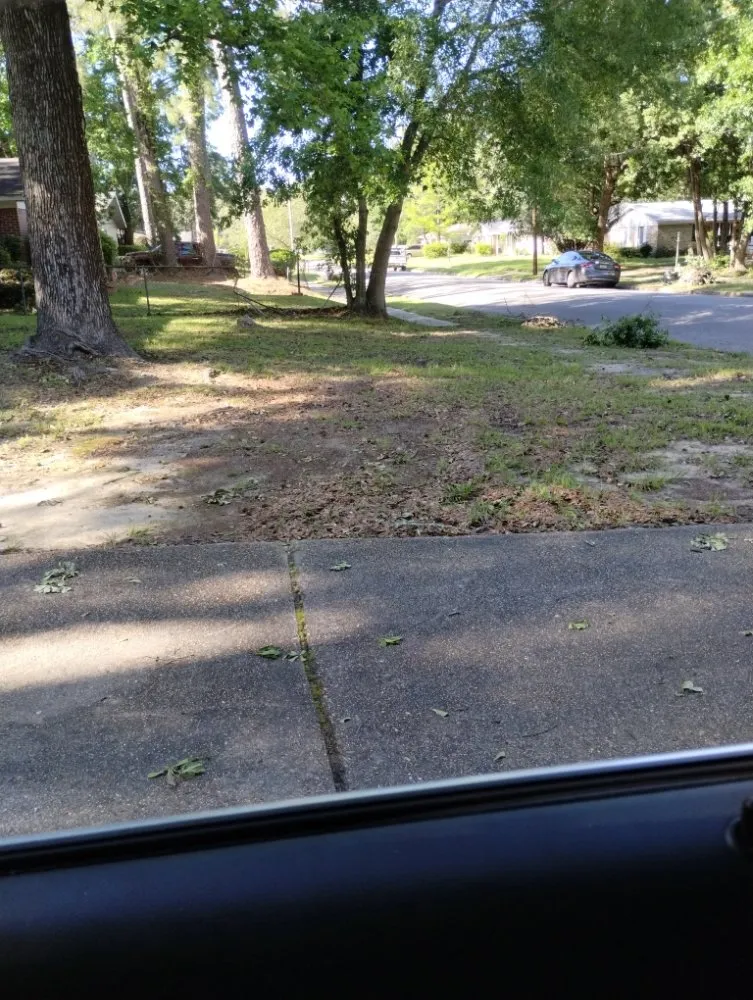 Reliable yard cleanup service experts serving Eight Mile, AL - Kings Lawn Svr