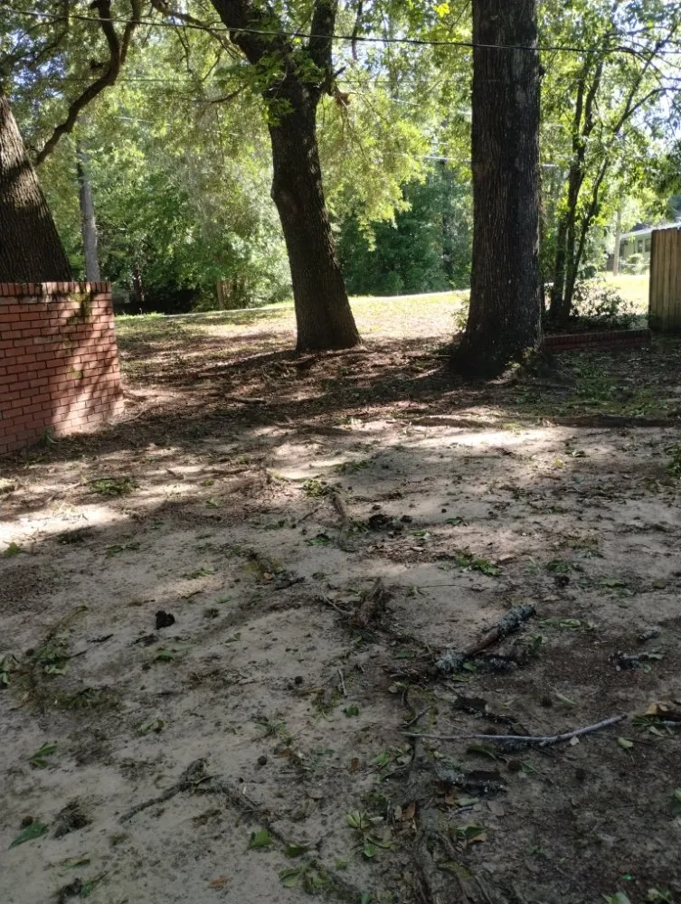 Affordable lawn mowing service with custom design in Eight Mile, AL by Kings Lawn Svr