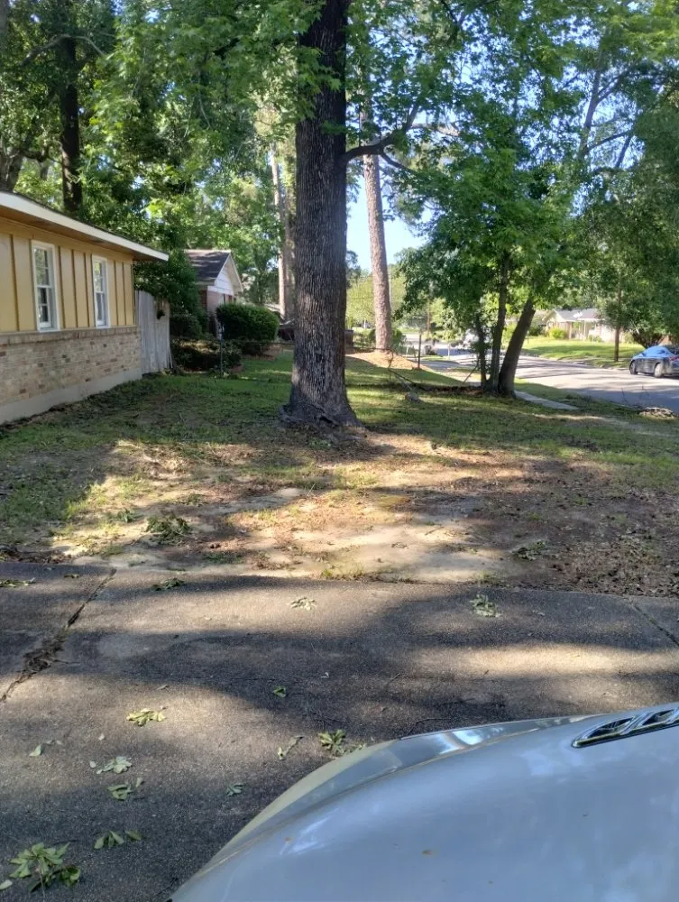 Custom landscape installation for residential properties in Eight Mile, AL by Kings Lawn Svr