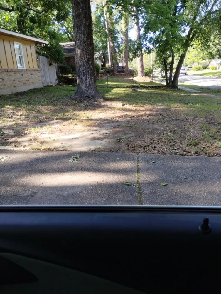 Custom outdoor landscaping near you across Eight Mile, AL - Kings Lawn Svr
