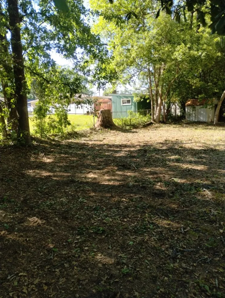 Custom lawn mowing service in Eight Mile, AL - Kings Lawn Svr