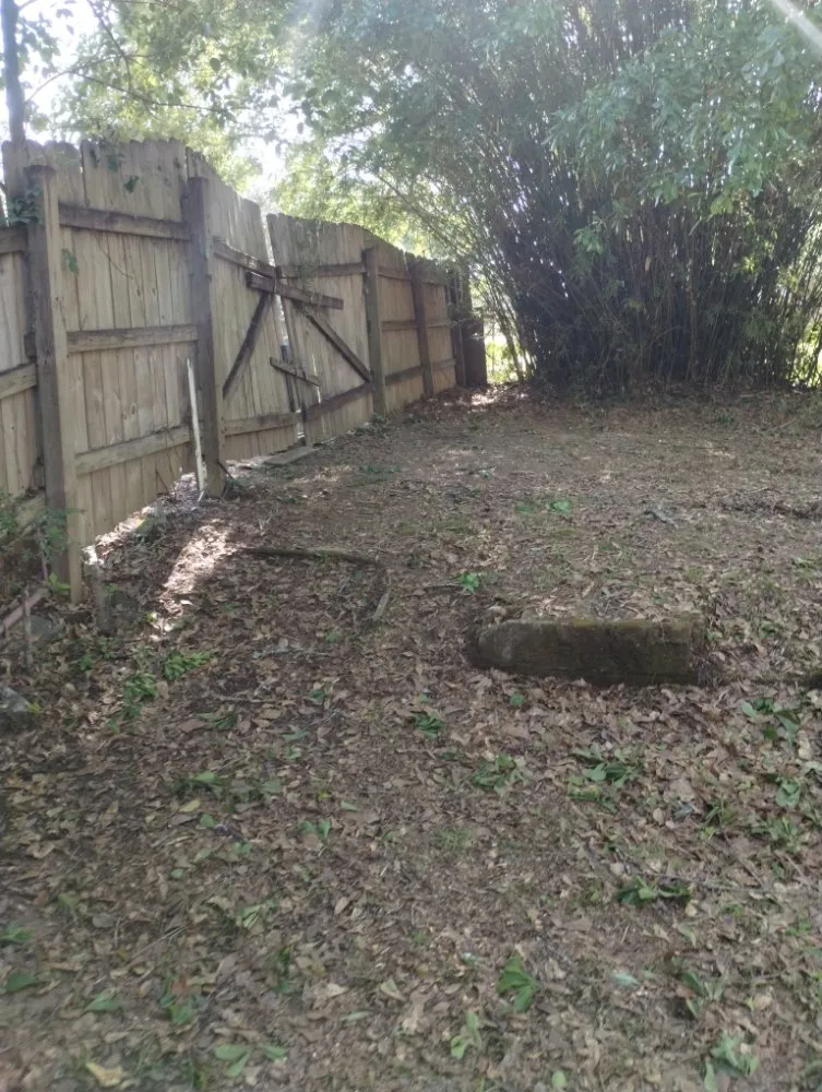 Expert landscape installation for beautiful yards in Eight Mile, AL by Kings Lawn Svr