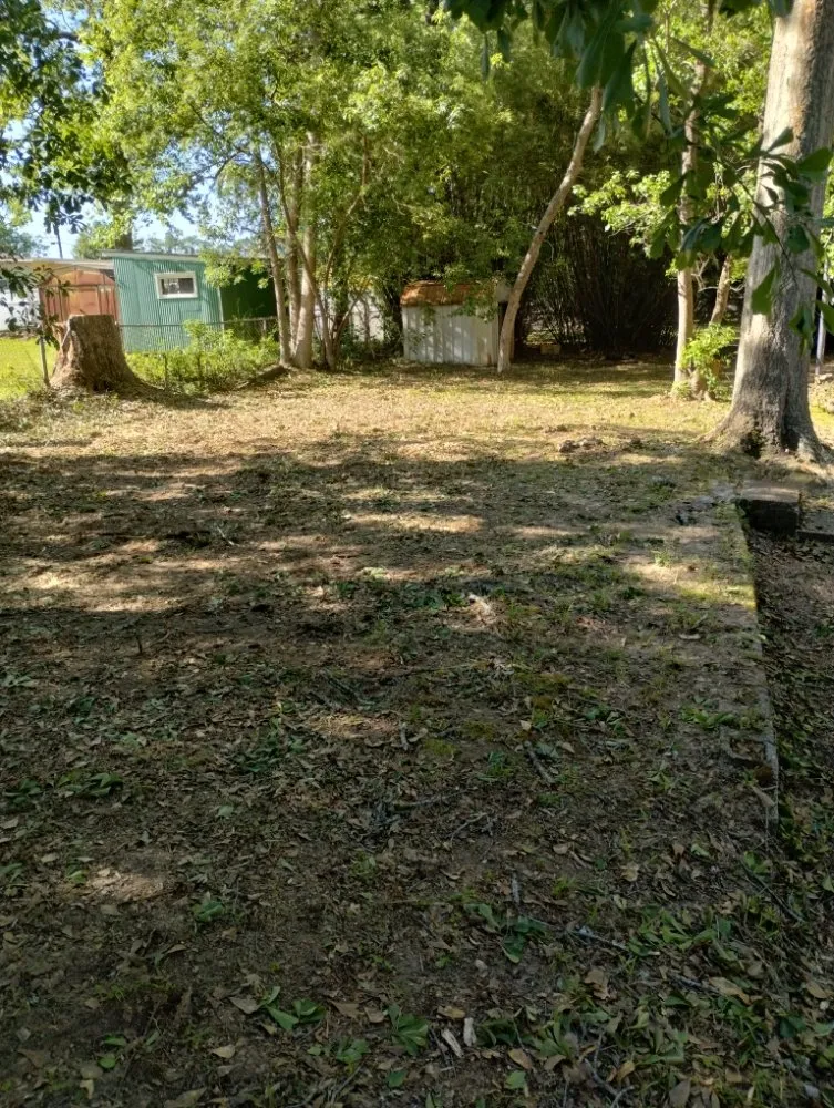 Reliable yard cleanup service for homes in Eight Mile, AL by Kings Lawn Svr