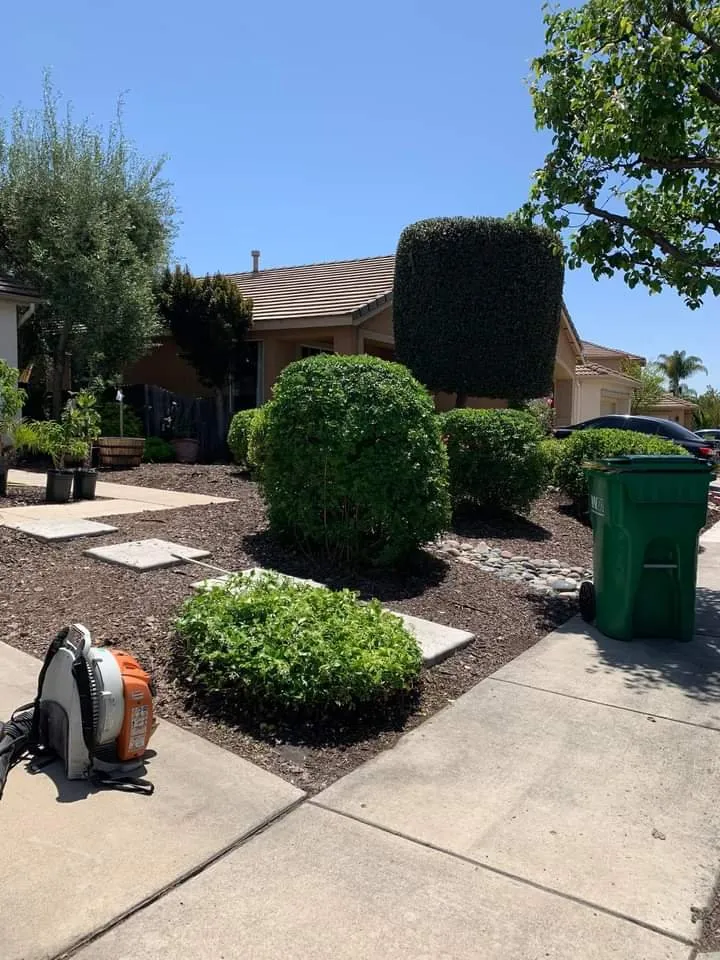 Custom yard cleanup service experts serving Hazleton, PA - Kings Lawncare Plus Pressure Washing