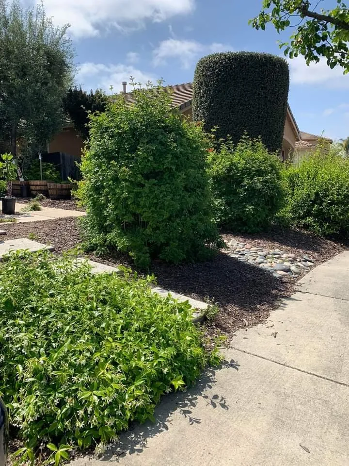 Custom landscaping services experts serving Hazleton, PA - Kings Lawncare Plus Pressure Washing