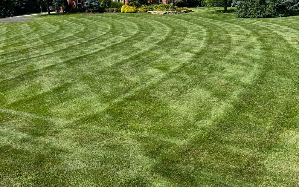 Custom yard maintenance in Lansing, MI - King’s LawnCare Services