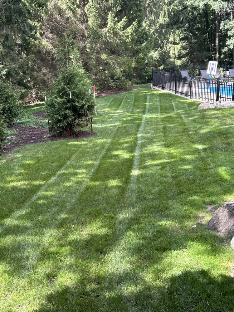 Custom lawn mowing service experts serving Lansing, MI - King’s LawnCare Services