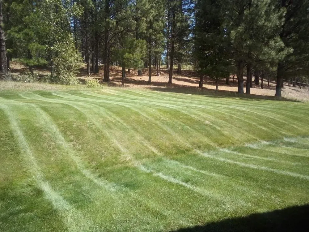 Reliable yard cleanup service experts serving New Braunfels, TX - King's Lawns Landscape & Handyman Services