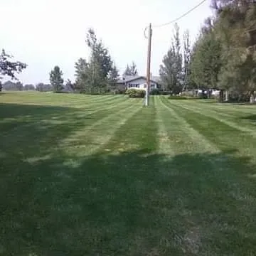 Trusted yard maintenance with custom design in New Braunfels, TX by King's Lawns Landscape & Handyman Services