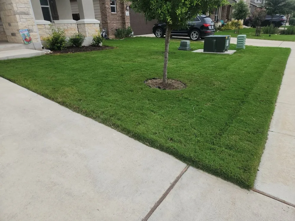 Local landscape installation in New Braunfels, TX - King's Lawns Landscape & Handyman Services