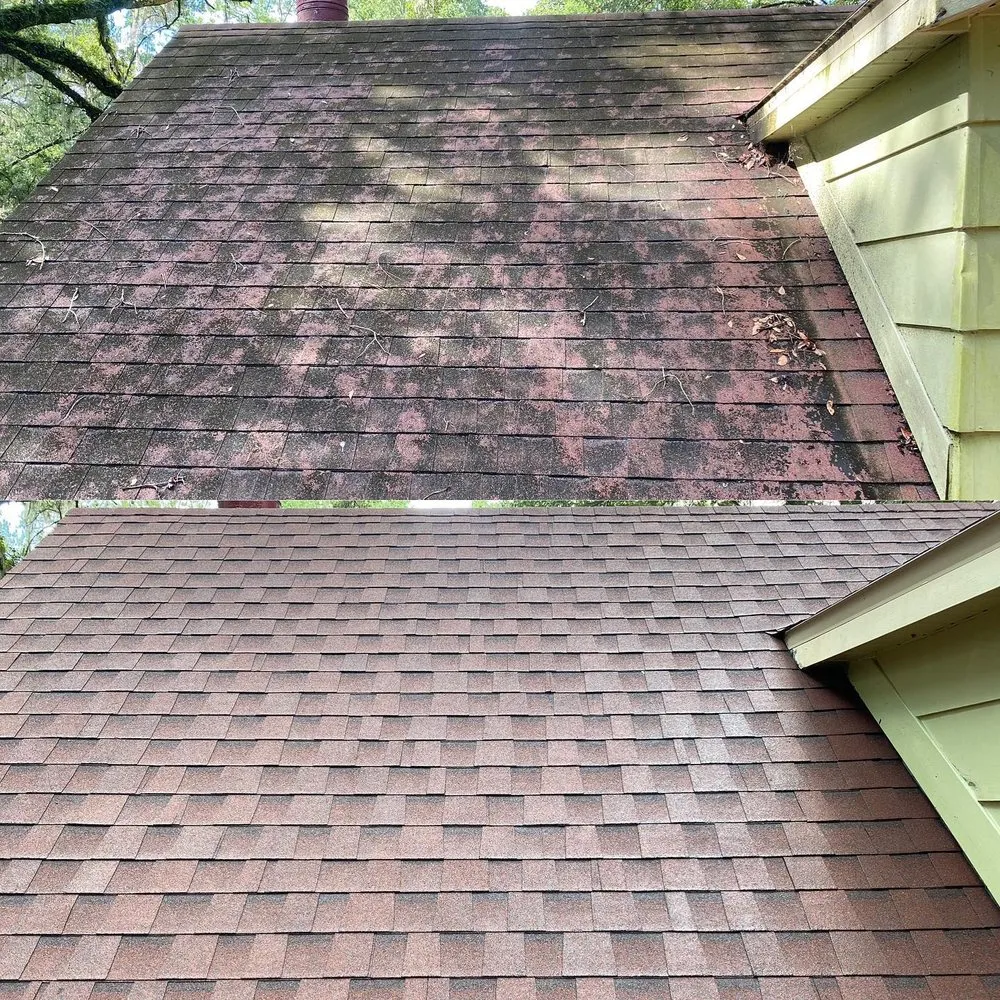 Top-rated garden landscaping in Gainesville, FL by Kings Legacy Services