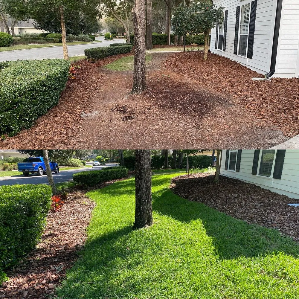 Professional landscaping services near you in Gainesville, FL by Kings Legacy Services