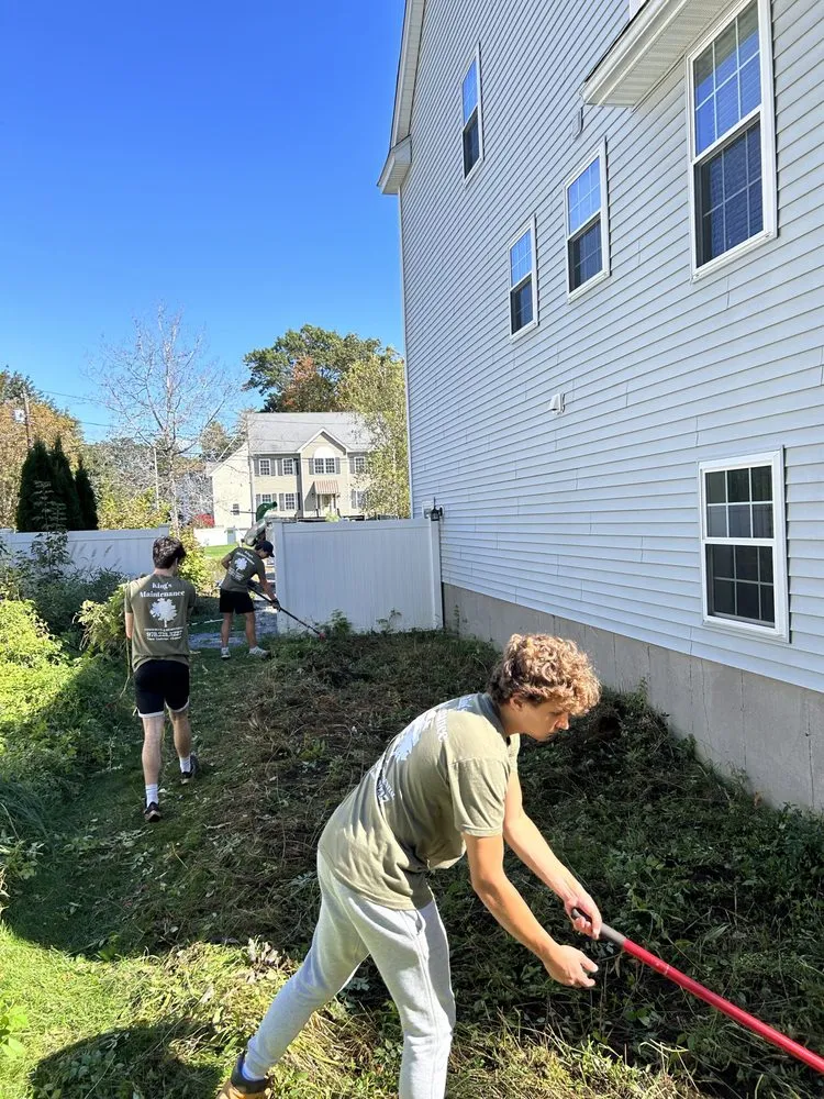 Reliable lawn mowing service experts serving Carlisle, MA - Kings Maintenance