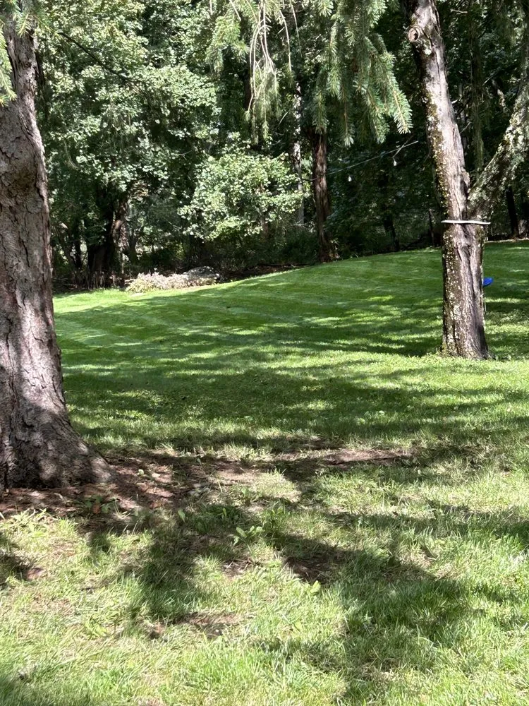 Professional yard maintenance for beautiful yards across Carlisle, MA - Kings Maintenance