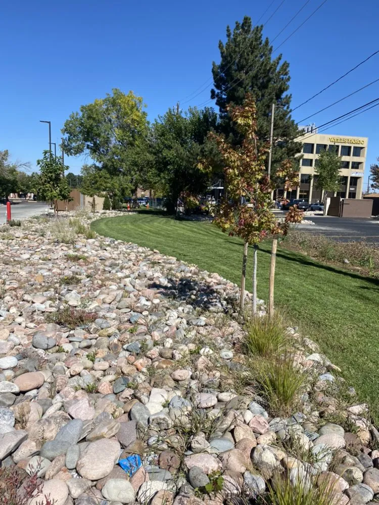 Custom landscape installation in Denver, CO by Kings Maintenance