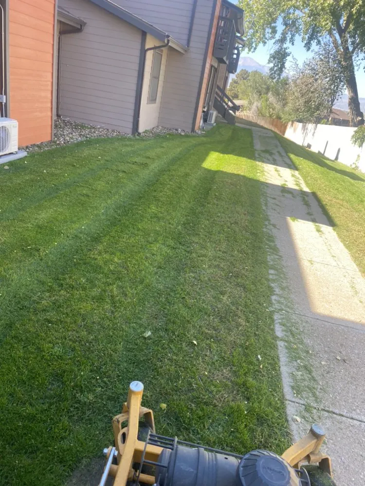 Trusted lawn mowing service experts serving Denver, CO - Kings Maintenance