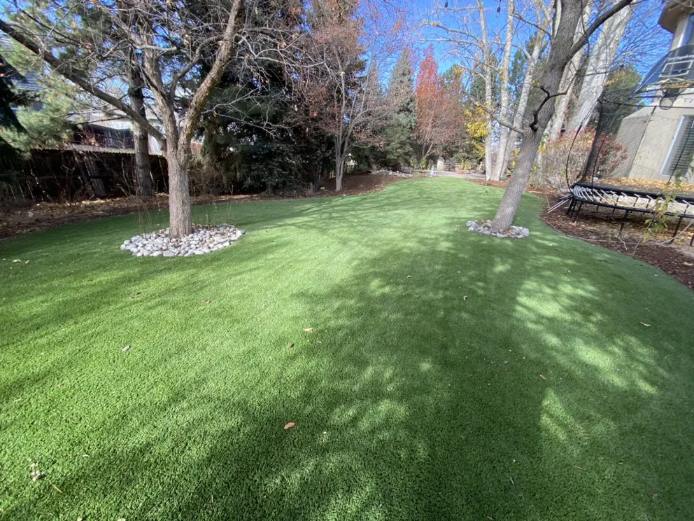 Reliable yard maintenance in Denver, CO - Kings Maintenance