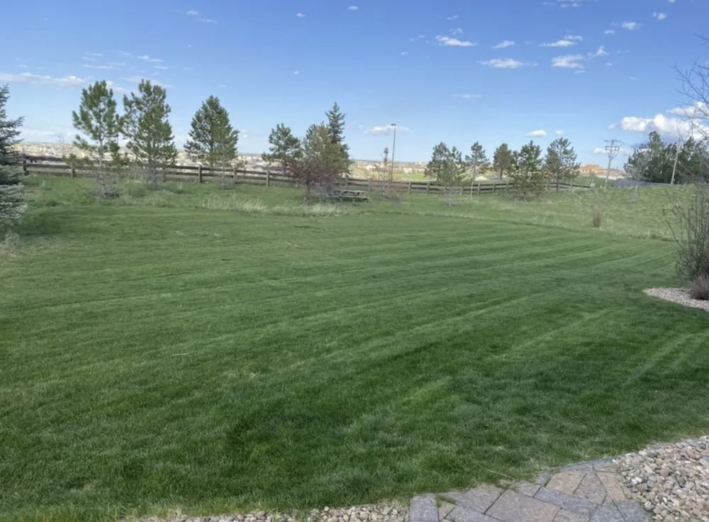Trusted yard cleanup service for year-round maintenance in Denver, CO by Kings Maintenance