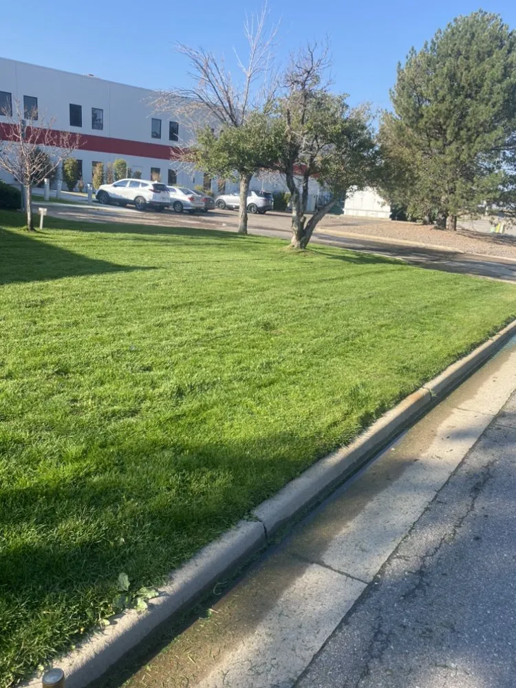 Trusted residential landscaping in Denver, CO - Kings Maintenance