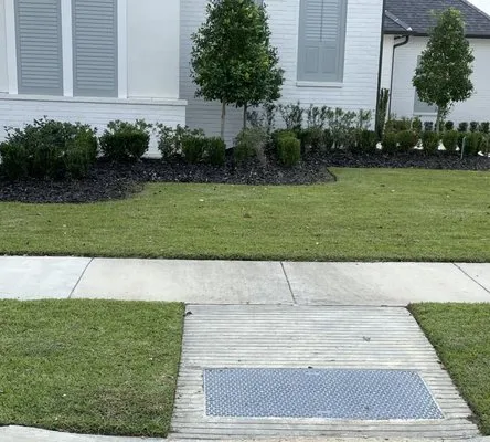 Kings Master Cuts Logo