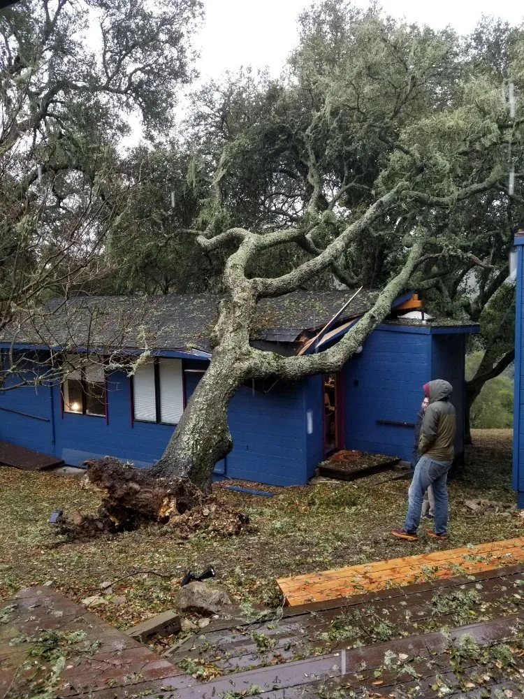 Trusted lawn care service with custom design in Arroyo Grande, CA by Kings Of Green Landscaping