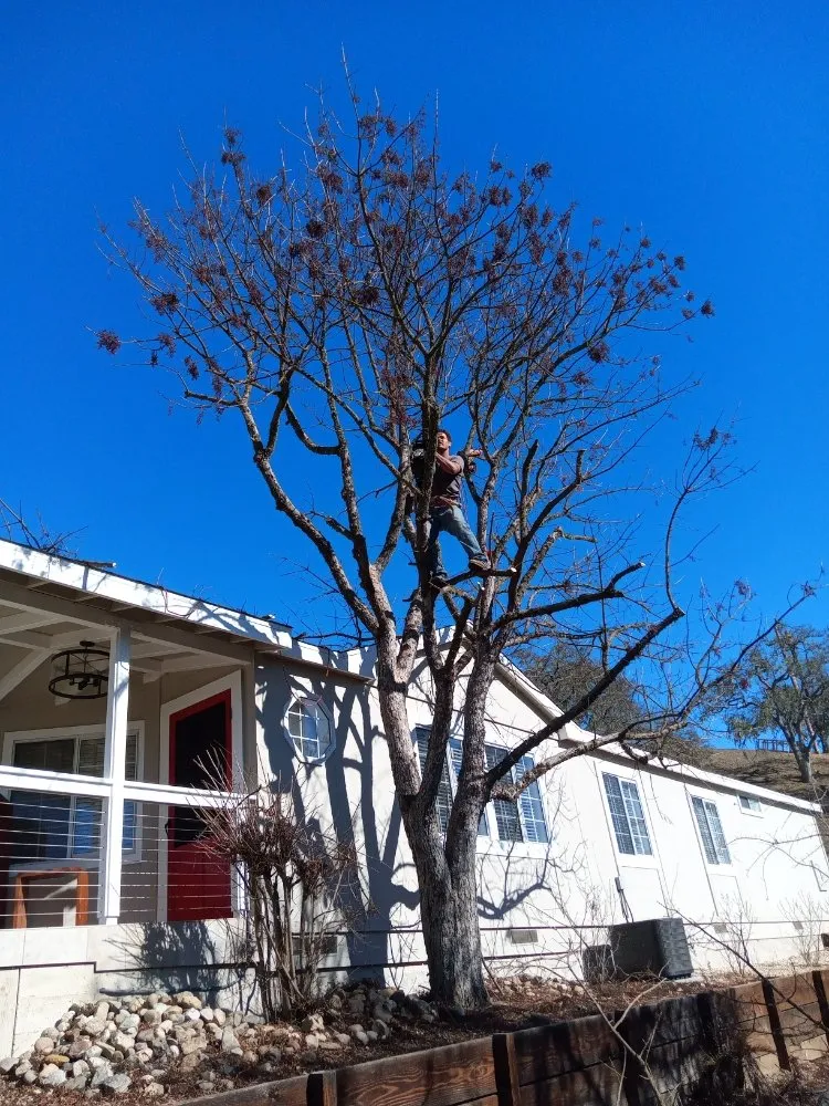 Trusted landscape design in Arroyo Grande, CA - Kings Of Green Landscaping