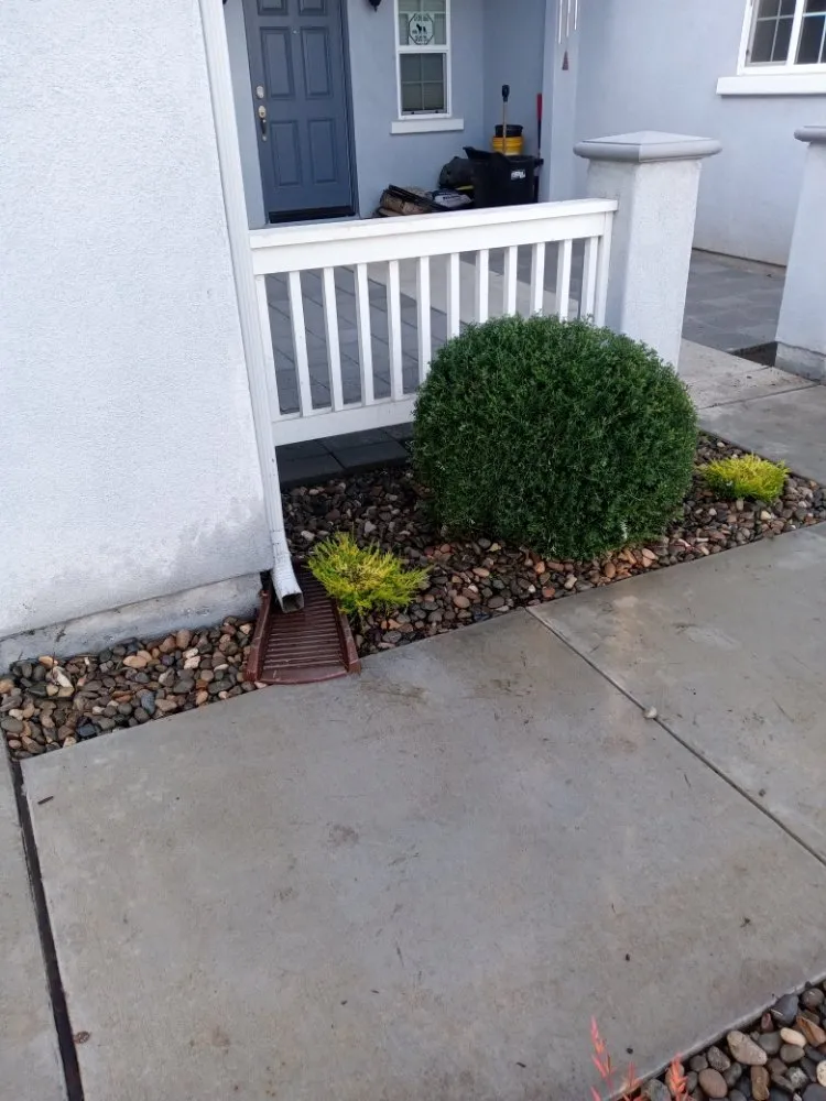 Expert outdoor landscaping in Arroyo Grande, CA by Kings Of Green Landscaping