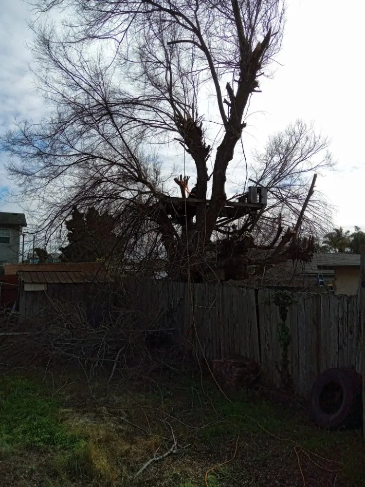Affordable landscape installation in Arroyo Grande, CA by Kings Of Green Landscaping
