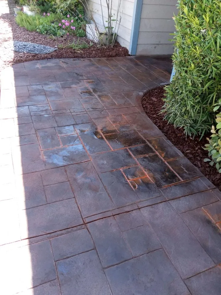 Professional lawn care service experts serving Arroyo Grande, CA - Kings Of Green Landscaping