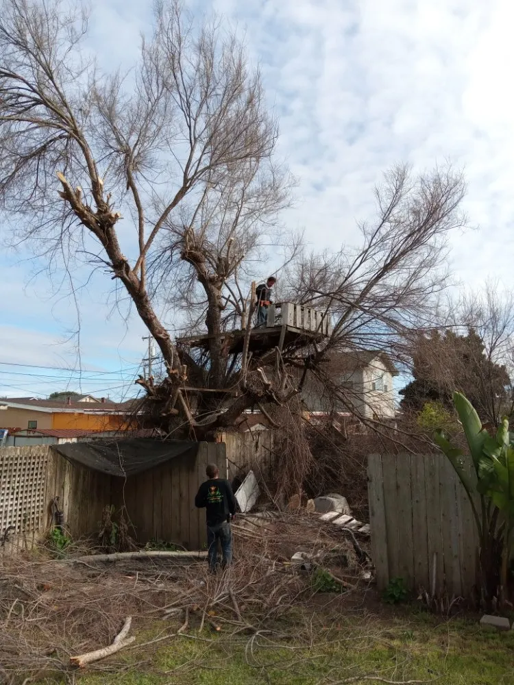 Expert residential landscaping with custom design in Arroyo Grande, CA by Kings Of Green Landscaping