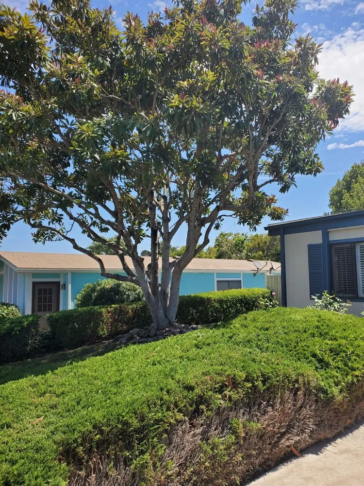 Trusted garden landscaping in Arroyo Grande, CA - Kings Of Green Landscaping