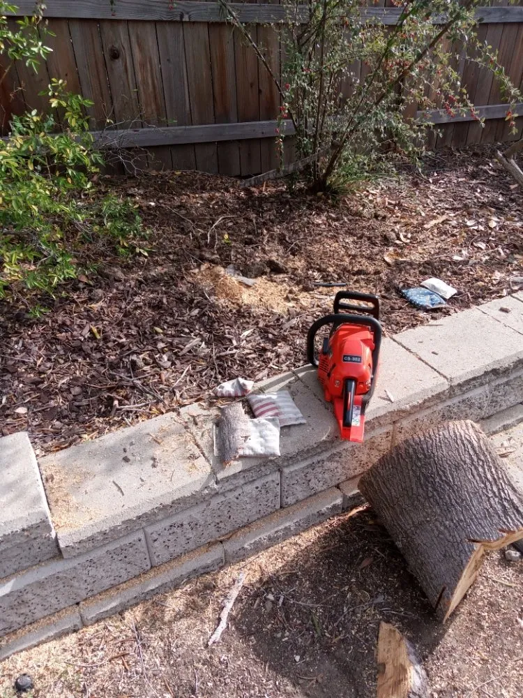 Affordable garden landscaping in Arroyo Grande, CA by Kings Of Green Landscaping