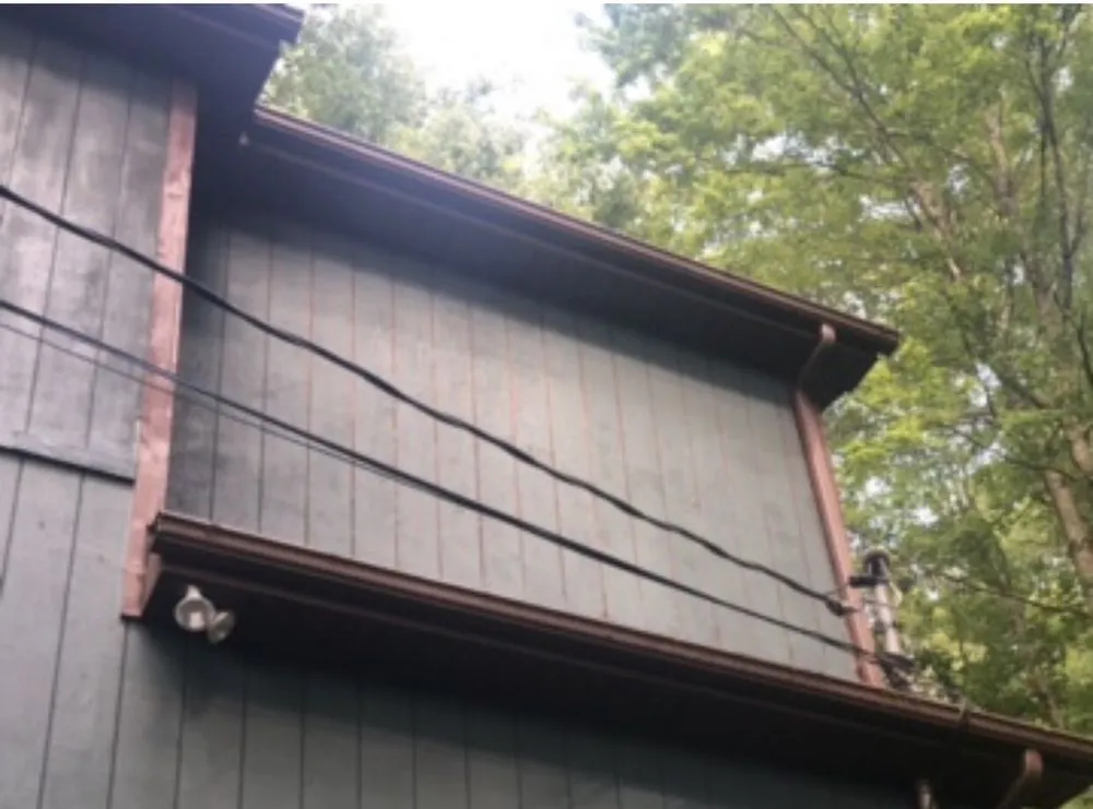 Top-rated yard cleanup service for year-round maintenance in Pittston, PA by Kings Painting