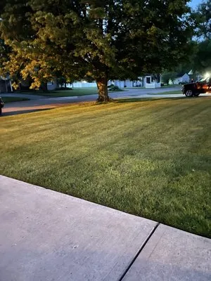 Kings Pro Lawn Care Solutions