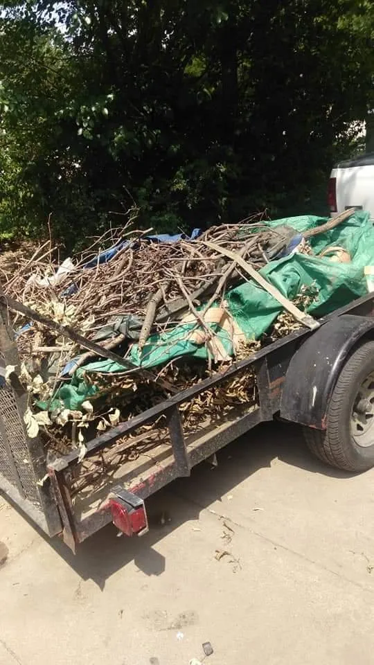 Reliable yard maintenance in Kansas City, MO - Kings property maintenance